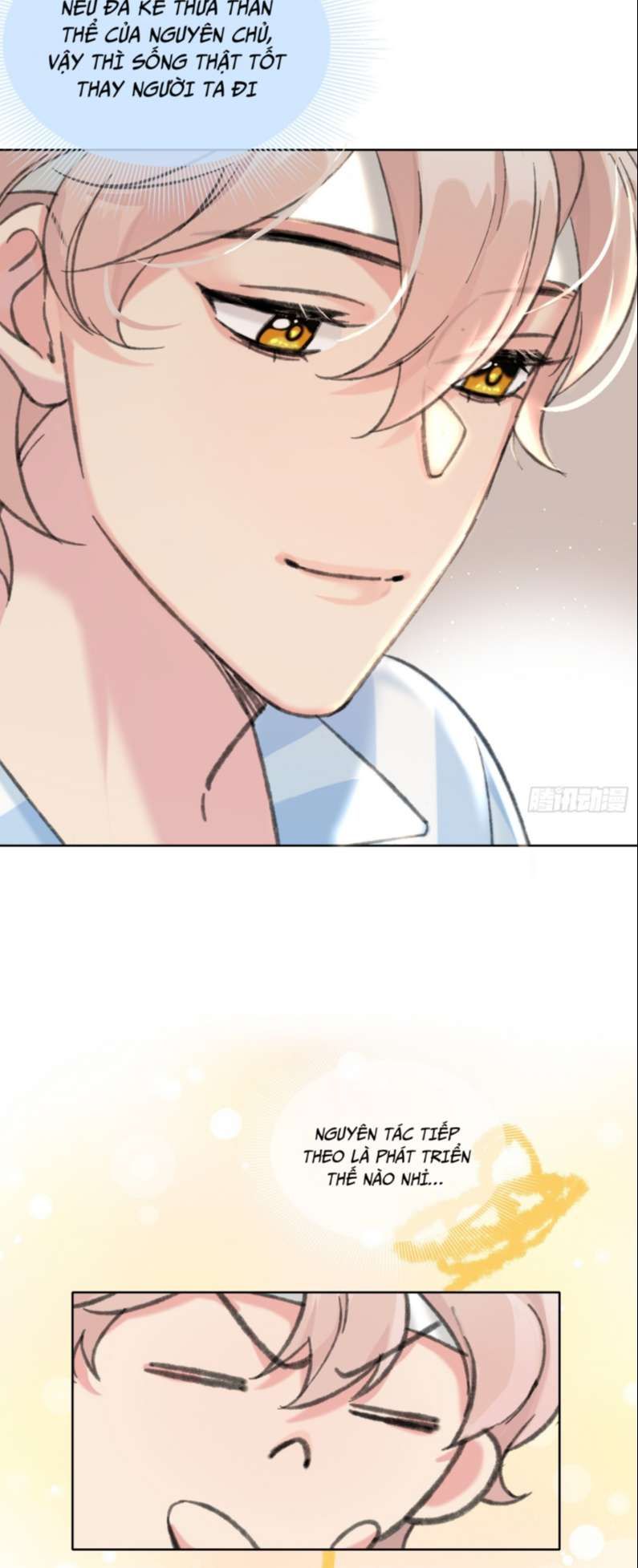 Sau Khi Xuyên Thành Pháo Hôi Tôi Chỉ Muốn Ly Hôn - Chương 2 - Trang 19