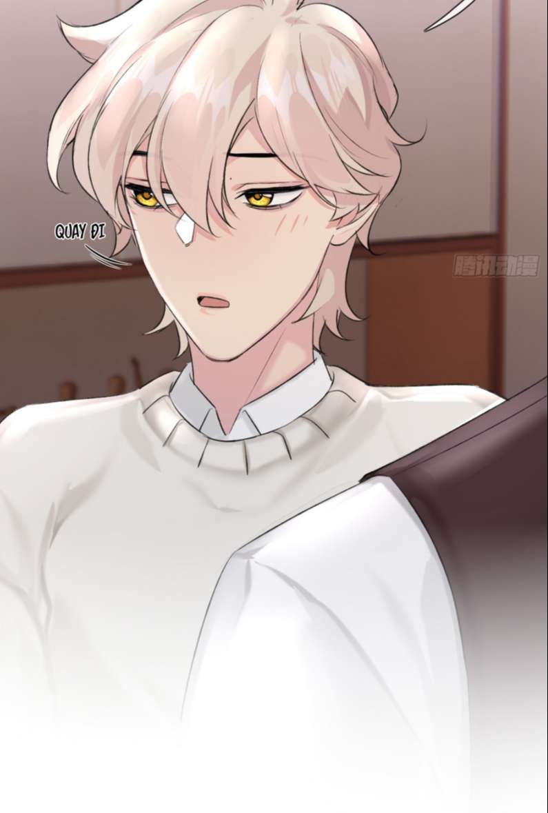 Sau Khi Xuyên Thành Pháo Hôi Tôi Chỉ Muốn Ly Hôn - Chương 8 - Trang 17