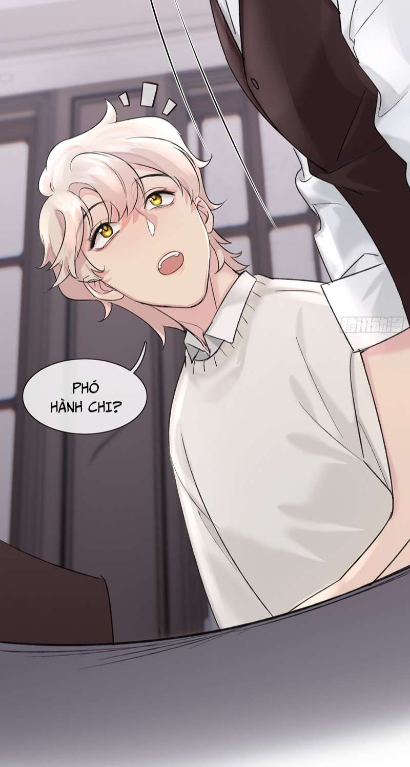 Sau Khi Xuyên Thành Pháo Hôi Tôi Chỉ Muốn Ly Hôn - Chương 9 - Trang 13