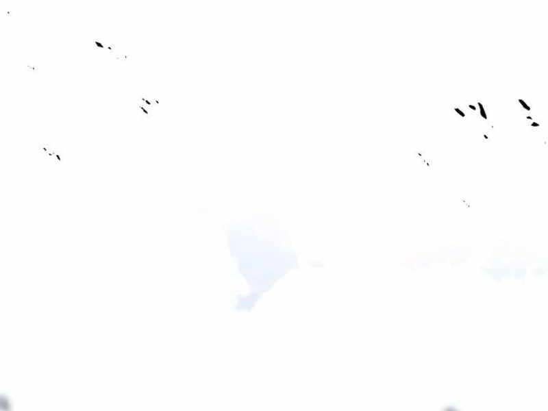 Fate/Extra Ccc Fox Tail - Chương 20.5 - Trang 230