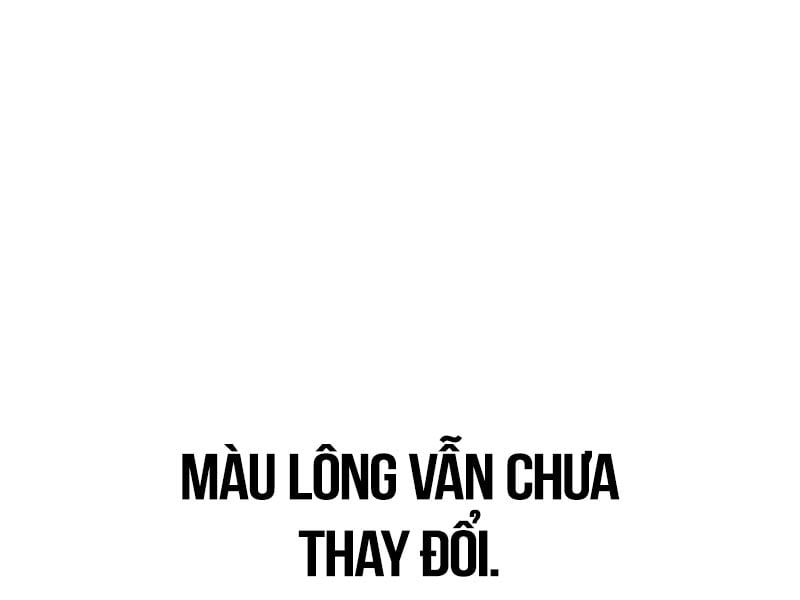 Fate/Extra Ccc Fox Tail - Chương 29.5 - Trang 33