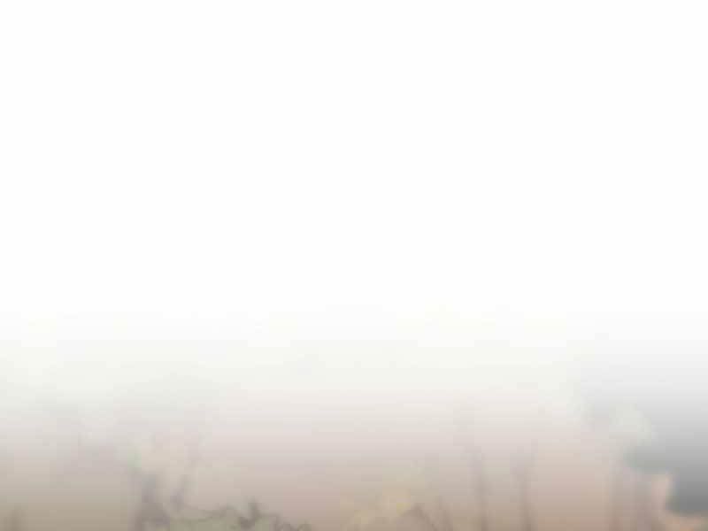 Fate/Extra Ccc Fox Tail - Chương 32.5 - Trang 186