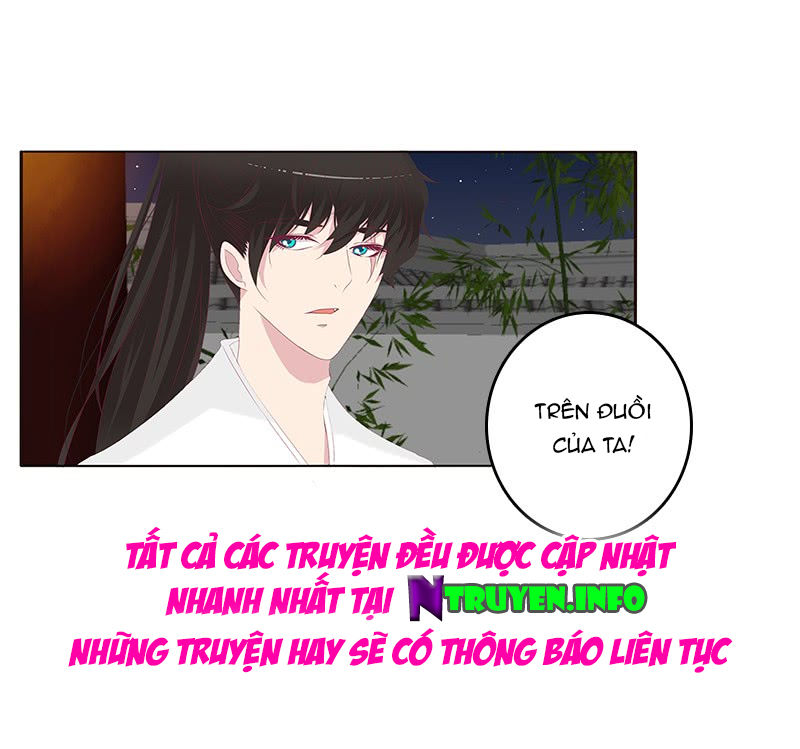 Tướng Quân Xin Xuất Chinh - Chương 115 - Trang 16