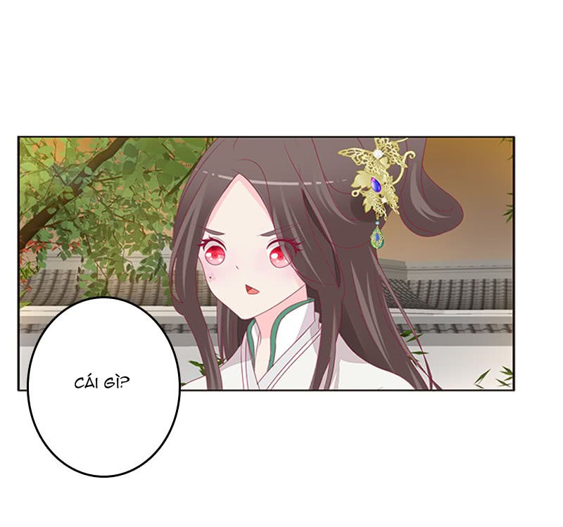 Tướng Quân Xin Xuất Chinh - Chương 115 - Trang 3