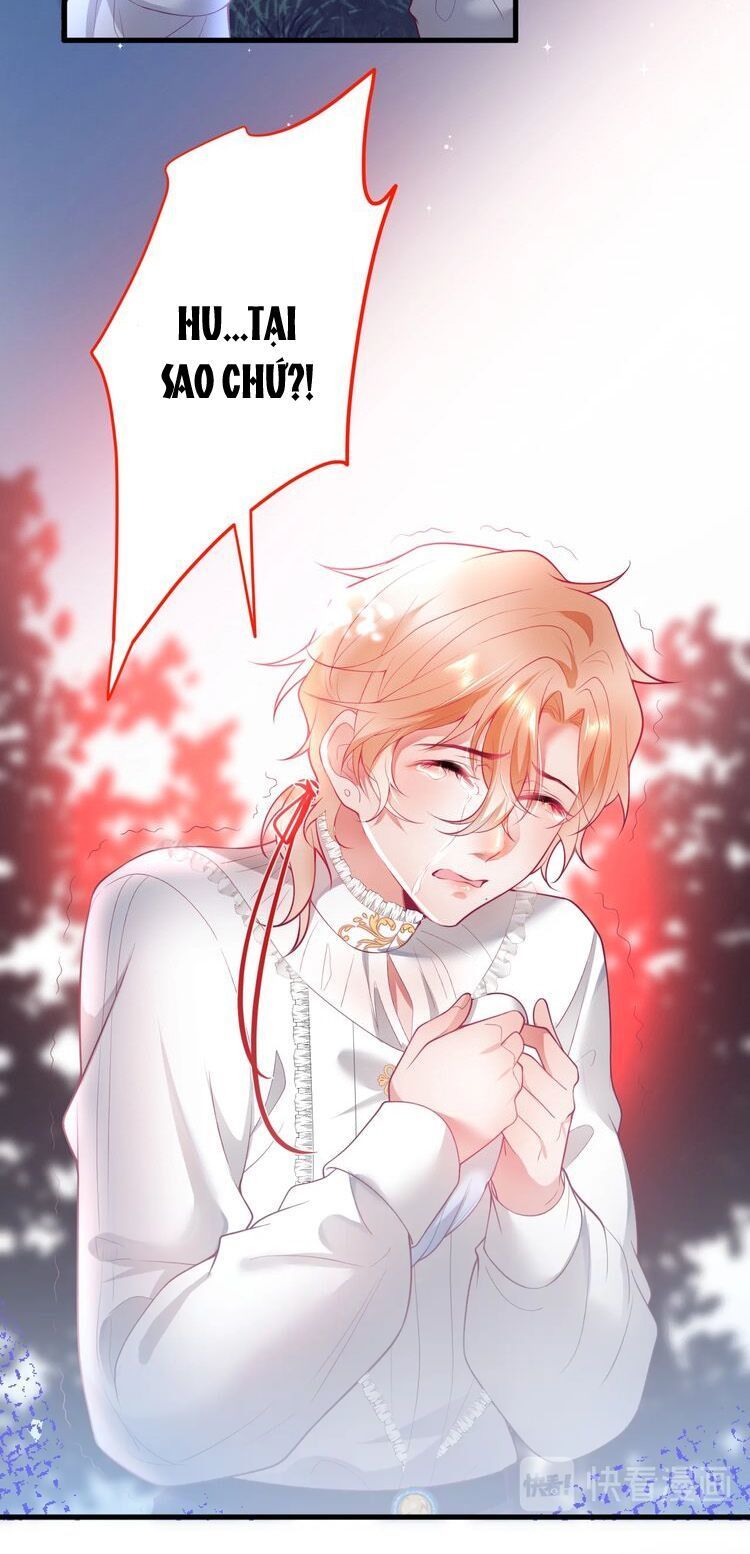 Vương Tử Và Ánh Trăng Đen - Chương 17 - Trang 13