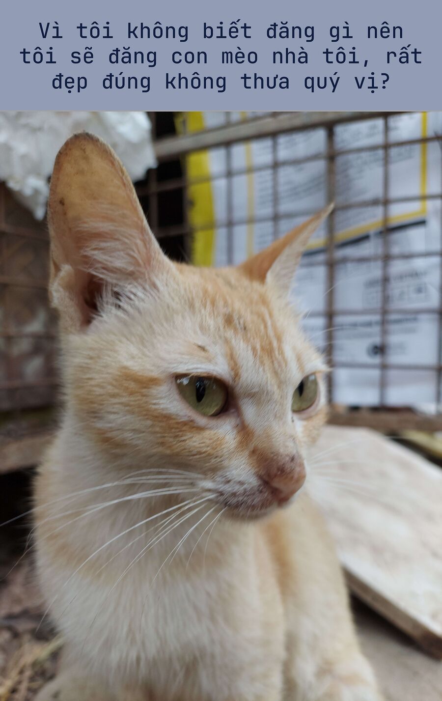 Thiên Sứ Nhà Bên - Chương 24.3 - Trang 2