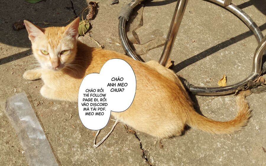 Thiên Sứ Nhà Bên - Chương 25.2 - Trang 13