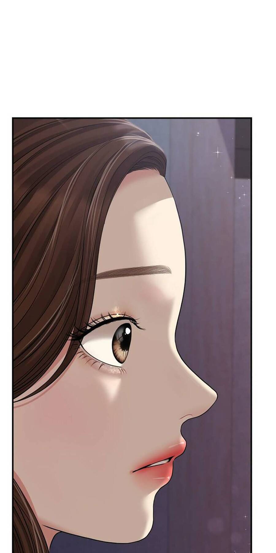 Gửi Em, Người Nuốt Trọn Vì Sao - Chương 111.2 - Trang 67