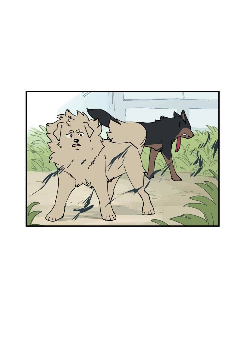 Lumine - Chương 163 - Trang 13