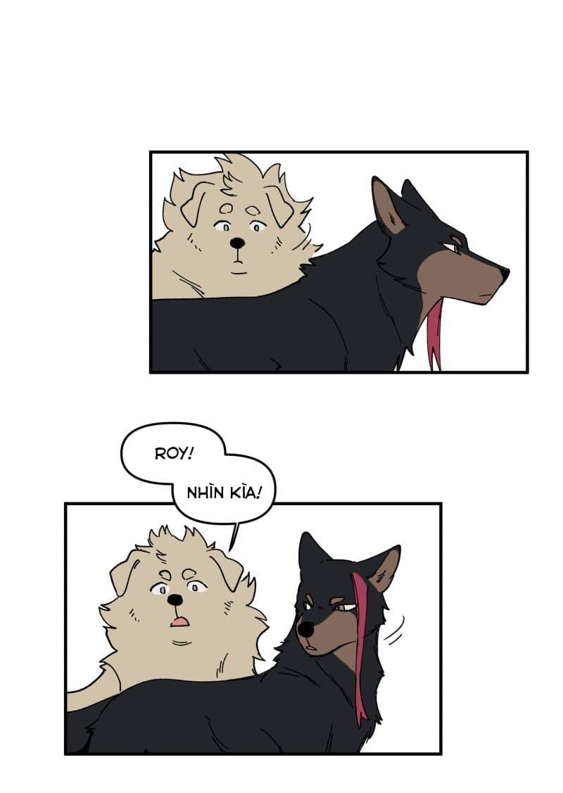 Lumine - Chương 163 - Trang 17